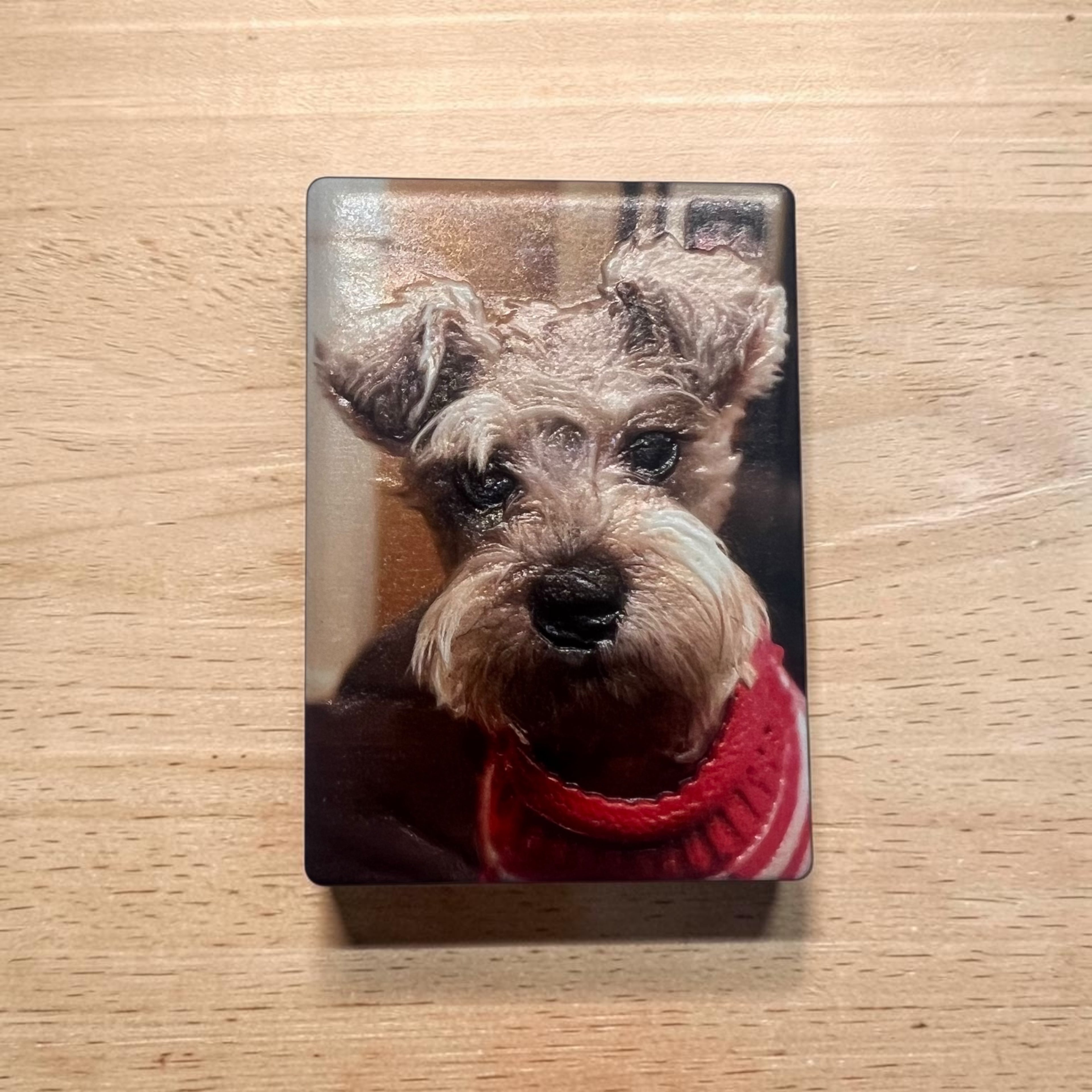 3D PERSONALIZED PET MAGNET